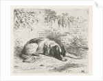 Reclining dog in front of a wall by Christiaan Wilhelmus Moorrees