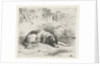 Reclining dog in front of a wall by Christiaan Wilhelmus Moorrees