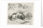 Reclining dog in front of a wall by Christiaan Wilhelmus Moorrees