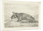 Lying cow by Pieter Gaal