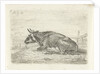 Lying cow by Pieter Gaal