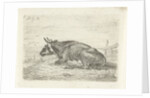 Lying cow by Pieter Gaal