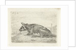 Lying cow by Pieter Gaal
