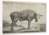 Standing bull by Jacobus Cornelis Gaal