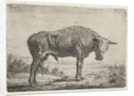 Standing bull by Jacobus Cornelis Gaal