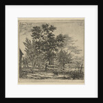 Dog in yard by Gerardus Emaus de Micault