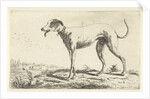 Greyhound Diana by Gerardus Emaus de Micault