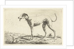 Greyhound Diana by Gerardus Emaus de Micault
