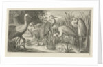 Storks and ducks at a pond by Jan van Londerseel