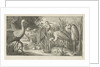 Storks and ducks at a pond by Jan van Londerseel