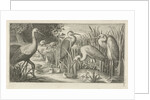 Storks and ducks at a pond by Jan van Londerseel
