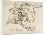 Head of a cow by Anthonie van den Bos
