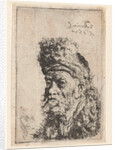 Bust of a man with fur hat by Salomon Koninck