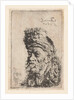Bust of a man with fur hat by Salomon Koninck