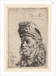 Bust of a man with fur hat by Salomon Koninck
