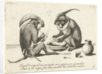 Two monkeys smoking a pipe by Anonymous