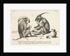 Two monkeys smoking a pipe by Anonymous
