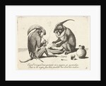 Two monkeys smoking a pipe by Anonymous
