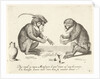 Two monkeys cards by Anonymous