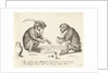 Two monkeys cards by Anonymous