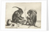 Two monkeys smoking pipe by Anonymous