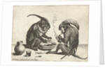 Two monkeys smoking pipe by Anonymous