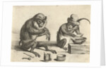 A monkey by David Teniers II
