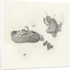 Woman with basket of fruit in your hand at the window by Gerard Dou