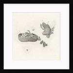 Woman with basket of fruit in your hand at the window by Gerard Dou