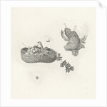 Woman with basket of fruit in your hand at the window by Gerard Dou