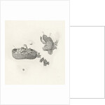 Woman with basket of fruit in your hand at the window by Gerard Dou