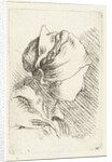 Study Sheet with a woman with head scarf by Louis Bernard Coclers