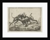 Fighting dogs by Pauwels van Hillegaert
