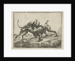 Fighting dogs by Pauwels van Hillegaert