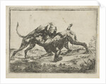 Fighting dogs by Pauwels van Hillegaert