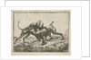 Fighting dogs by Pauwels van Hillegaert