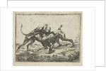 Fighting dogs by Pauwels van Hillegaert