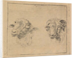 Head of a ram and head of a sheep by Carel Webbers