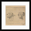 Head of a ram and head of a sheep by Carel Webbers
