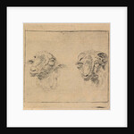 Head of a ram and head of a sheep by Carel Webbers