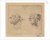 Head of a ram and head of a sheep by Carel Webbers