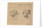 Head of a ram and head of a sheep by Carel Webbers