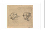 Head of a ram and head of a sheep by Carel Webbers