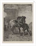 Horse gets horseshoes in a forge by Cornelis Albertus Johannes Schermer