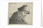 Portrait of an old man with a fur hat by Pieter Jansz. Quast