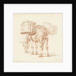 Loaded donkey by Jurriaan Cootwijck