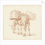 Loaded donkey by Jurriaan Cootwijck