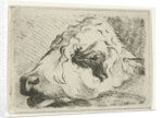 Head of a calf, in profile, resting on a beam by Hermanus Fock