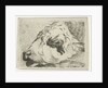Head of a calf, in profile, resting on a beam by Hermanus Fock