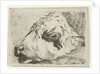 Head of a calf, in profile, resting on a beam by Hermanus Fock
